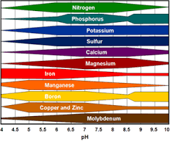 Chart Relative Availability Of Plant Nutrients By Soil Ph