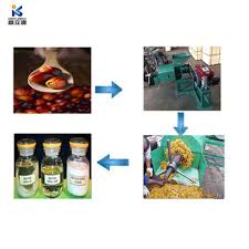 The sylvester palm has different species which vary in height. China Industrial Palm Oil Press Extraction Machinery Palm Tree Fruit Edible Oil Extraction Machinery Photos Pictures Made In China Com
