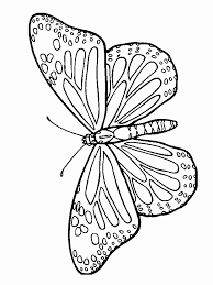 Disegni Da Ricopiare Per Bambini Farfalla Disegni Da Colorare