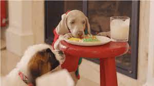 It was when the two naughty puppies knocked over the punch bowl filled with milk that i realized hulu's puppies crash christmas is the best holiday gift ever. Puppies Crash Christmas Is The Best Hulu Special Ever Made Hellogiggles