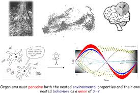 Nov 22, 2017 · the present research develops and tests a theoretical extension of the technology acceptance model (tam) that explains perceived usefulness and usage intentions in terms of social influence and cog. Evolutionary Understanding Of The Conditions Leading To Estimation Of Behavioral Properties Through System Dynamics Complex Adaptive Systems Modeling Full Text