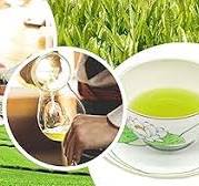 Amazon.com : 30 Packs 八女茶 Brand [Japanese Gyokuro Green ...