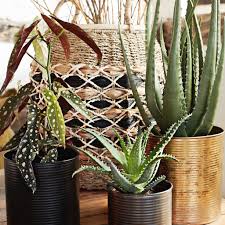 Water hyacinth round uniform basket l. Round Natural And Black Wicker Baskets With Handles By The Forest Co Notonthehighstreet Com
