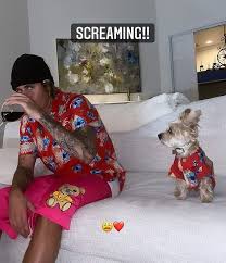 Tap to play or pause gif cbs also, hailey, come get your. Justin Bieber And His Dog Oscar Find The Perfect Hawaiian Shirts Vogue