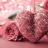 Flower dp facebook status whatsapp flower status shakti express flowers dp images for whatsapp status in hindi english with quotes msg whatsapp dp pics flowers. Https Encrypted Tbn0 Gstatic Com Images Q Tbn And9gcrb8ijk8b0h98shmyn3d3hkjnkmfanqofe4f 3ul68 Usqp Cau