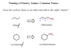 Naming A Primary Amine Common Names In 2020 Nomenclature Chemistry Common Names Chemistry