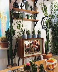 Best Tv Show Ever Found On Pinterest Fb Com Thehippiehomes Plant Decor Houseplants Indoor Decor