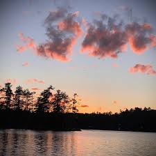 Fawn beach (@fawnbeach) • Instagram photos and videos