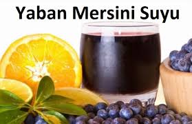 Yaban mersini içerisinde a ve c vitaminlerini barındırmaktadır. Yaban Mersini Suyu Kolay Yapilan Icecek Tarifleri Sitesi