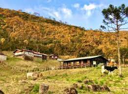 With satellites, radars, and other weather monitoring technology, you can now use these top free weather apis to access this weather data directly in your applications! The 10 Best Rooms In Urupema Brazil Booking Com