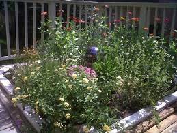 Not too many people are will to take it away because of the difficulty of removing it. Hot Tub Spotted As A Garden Learning Center