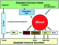 For the types of nuclear power plants operating in the united states, uranium needs to be enriched. Depleted Uranium Analysis In Blood By Inductively Coupled Plasma Mass Spectrometry Journal Of Analytical Atomic Spectrometry Rsc Publishing