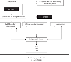 Image result for Refractory Depression Management