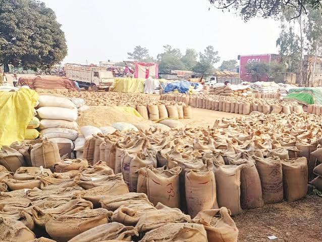 Paddy procurement will start in Katni from December 1.