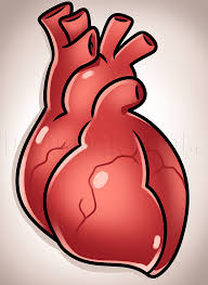 Includes how blood flows through the heart and lungs, where the heart is located, what your heart and coronary arteries look like, and how the heart beats. Drawing A Human Heart For Kids Step By Step Drawing Guide By Dawn Dragoart Com