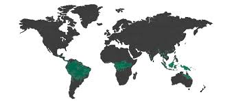Where are tropical rainforests located? Where Are The Tropical Rainforests And What Are They Like Rakin