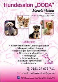 Hundesalon Groomda