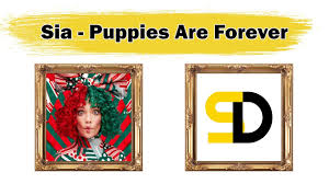 verse 1 oh how much, oh how much for the puppy in the window? Sia Puppies Are Forever Christmas Song Lyrics Bokjo S Puppies Are Forever Sia This Song Inspired Me Nick Jonas Helps Puppies Funny Puppies Faux Fur Dog Beds