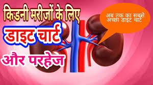 diet chart for kidney patients ckd diet best food for kidney