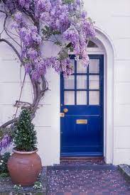 25 How To Grow Wisteria In A Pot 16 Wisteria Tree Wisteria Garden Wisteria