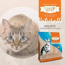 Dine In A Holistic Way Cindy S Recipe Naturelle Holistic Superpremium Cat Food Country Chicken Indoor Recipe Is Made With Dehydrated Chicken As The Single L
