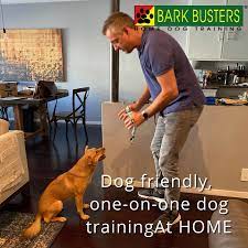 Dog Friendly One On One Dog Training At Home Barkbustersla To The Rescue Puppytrainingla Puppytrainersla House Training Dogs Dog Friends Labrador Training