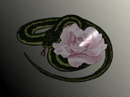 Your Hand Your Tongue Look Like The Innocent Flower But Be The Serpent Under It Act 1 Scene 5 Brochure Design Template Pure Products Design Template