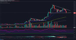 Crypto ben believes that cardano has got a great shot to replace ethereum.; Will Cardano Ever Reach 1000