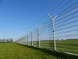 Electric fencing basics electric fencing is ideal for grazing or pasture management by containing animals on a selected area of pasture or crop. The Use Of Electric Fencing Proving To Be Effective For Farmers 1 Online Weed Dispensary In Canada Magic Mushroom Cbd And Edibles