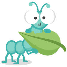 Pin On Insects