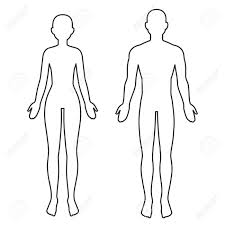Male And Female Body Silhouette Outline Blank Anatomy Template