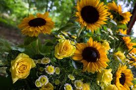 Piotra imieniny obchodzi 23 marca, 6 kwietnia, 16 sierpnia, 23 sierpnia najbardziej popularną datą obchodzenia imienin piotry jest 6 kwietnia. Zyczenia Imieninowe Dla Piotra I Pawla 2019 Wierszyki Rymowanki Sms Przykladowe Zyczenia Gazeta Pomorska