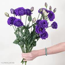 Image result for eustoma lisianthus in vase