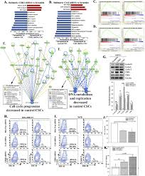 Chemotherapy drug treatment for other. Specific N Cadherin Dependent Pathways Drive Human Breast Cancer Dormancy In Bone Marrow Life Science Alliance