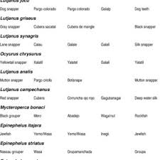 Fish Species Identification Chart Download Scientific Diagram