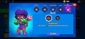 Image result for Rosa sp.