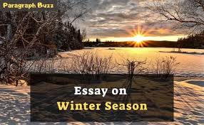 The winter season has many. Essay On Winter Season In 200 300 400 500 600 Words For Class 1 12