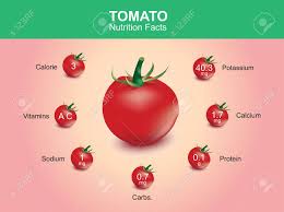 tomato nutrition facts tomato fruit with information tomato vector