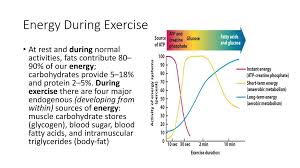 The role of carbohydrate, fat and protein as fuels for aerobic and anaerobic energy production. Chapter 4 Exercise Metabolism And Bioenergetics Ppt Download