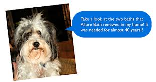 What did capital remodeling do for my kitchen? Phoenix Bathroom Remodeling Contractor Reviews