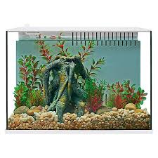 30,540 likes · 538 talking about this. Top Fin Engage Trade 5 Gallon Aquarium Fish Aquariums Petsmart