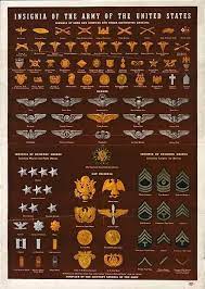 Army Insignia Military Insignia Military Ranks Army Ranks