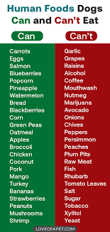 29 Human Foods Dogs Can And Can T Eat Love Of A Pet Foods Dogs Can And Cant Eat Dogs Can And Cant Eat Human Food