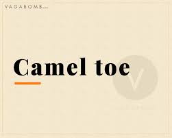 A camel toe is when a woman's pants are too tight, and creates a wedgie between her 'other lips.' and why would you want to see a camel's toes? From Muffintop To Camel Toe Here Are 8 Words People Use To Body Shame Women