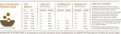 Orijen Cat Kitten Dry Food