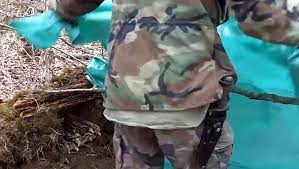 How To Build A Snake Hole Pit Shelter In Minutes Shelter Pit Snake