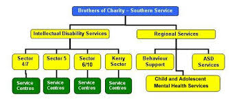 Brothers Of Charity Southern Services Structures Diagram