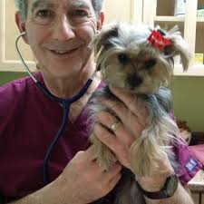 LONGEVITY VETERINARY CENTER