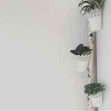 Birkenstamm Mit Ikea Blumentopfen Birkenstamm Wohnideen Idee