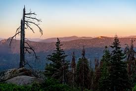 No drinking water is available along this road, so be sure to take some with you. Kings Canyon Panoramic Point Sunset Takemytrip Com